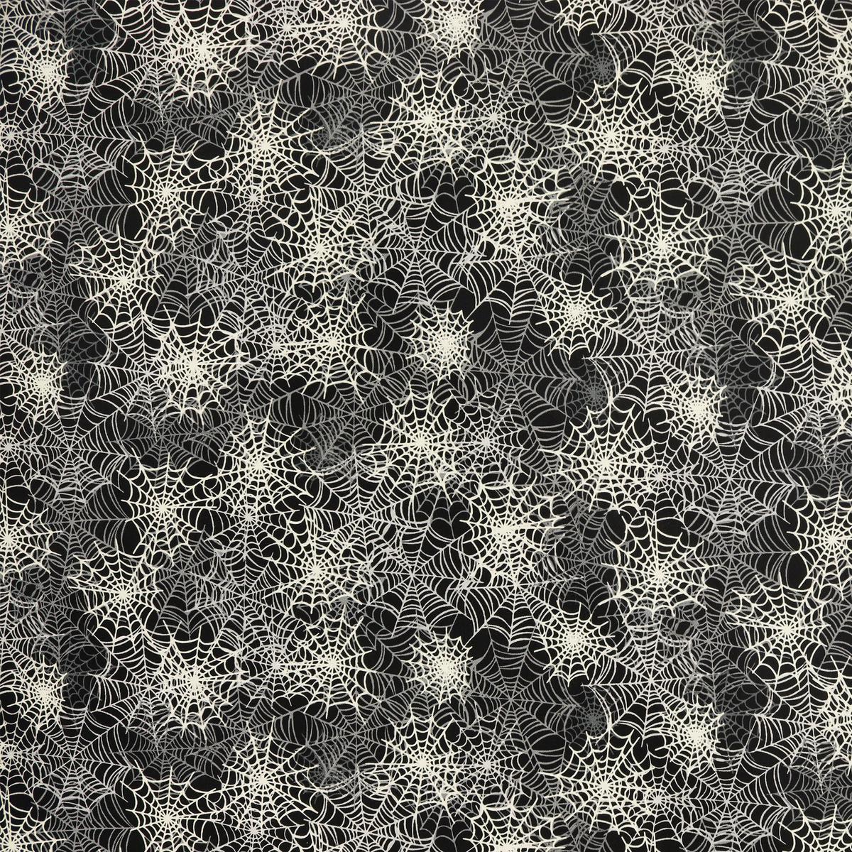 Happy Hauntings Fabric Collection - Spooky Spiderwebs Black