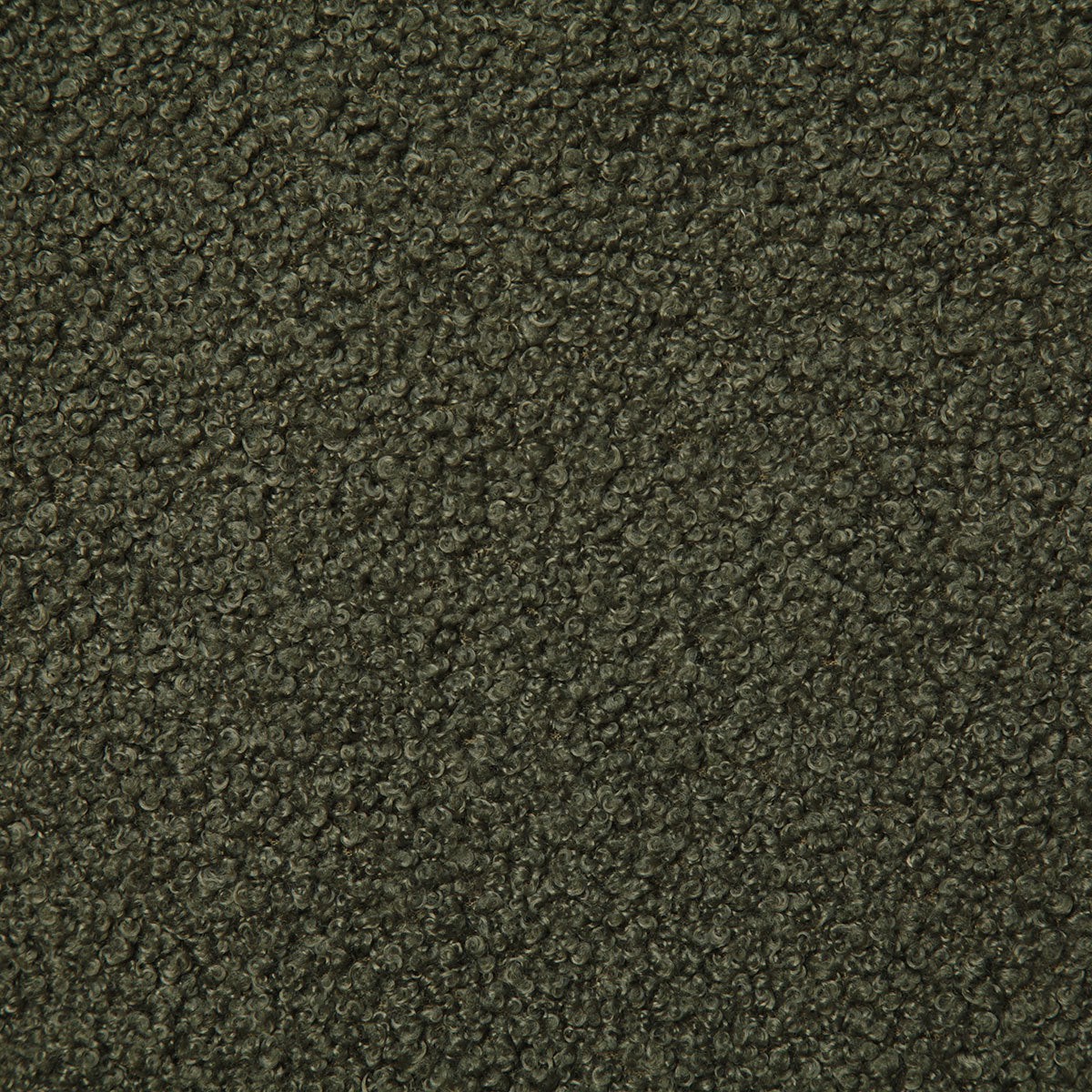 7899 LOUGHTY-LODEN - Pindler Fabric