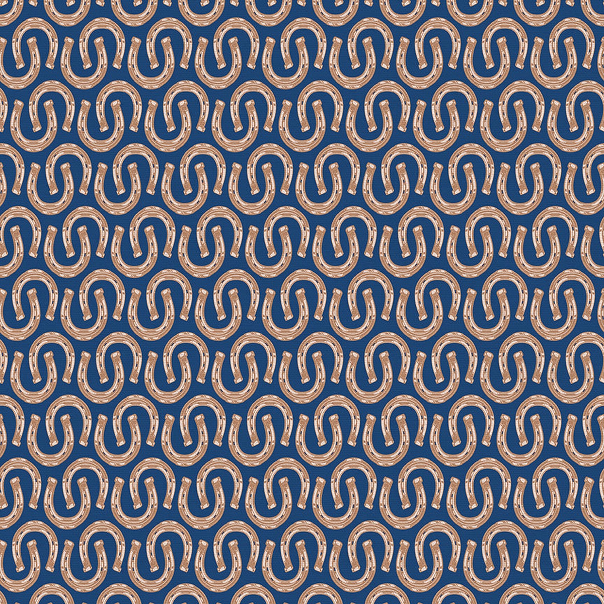 Horseshoes - Blue