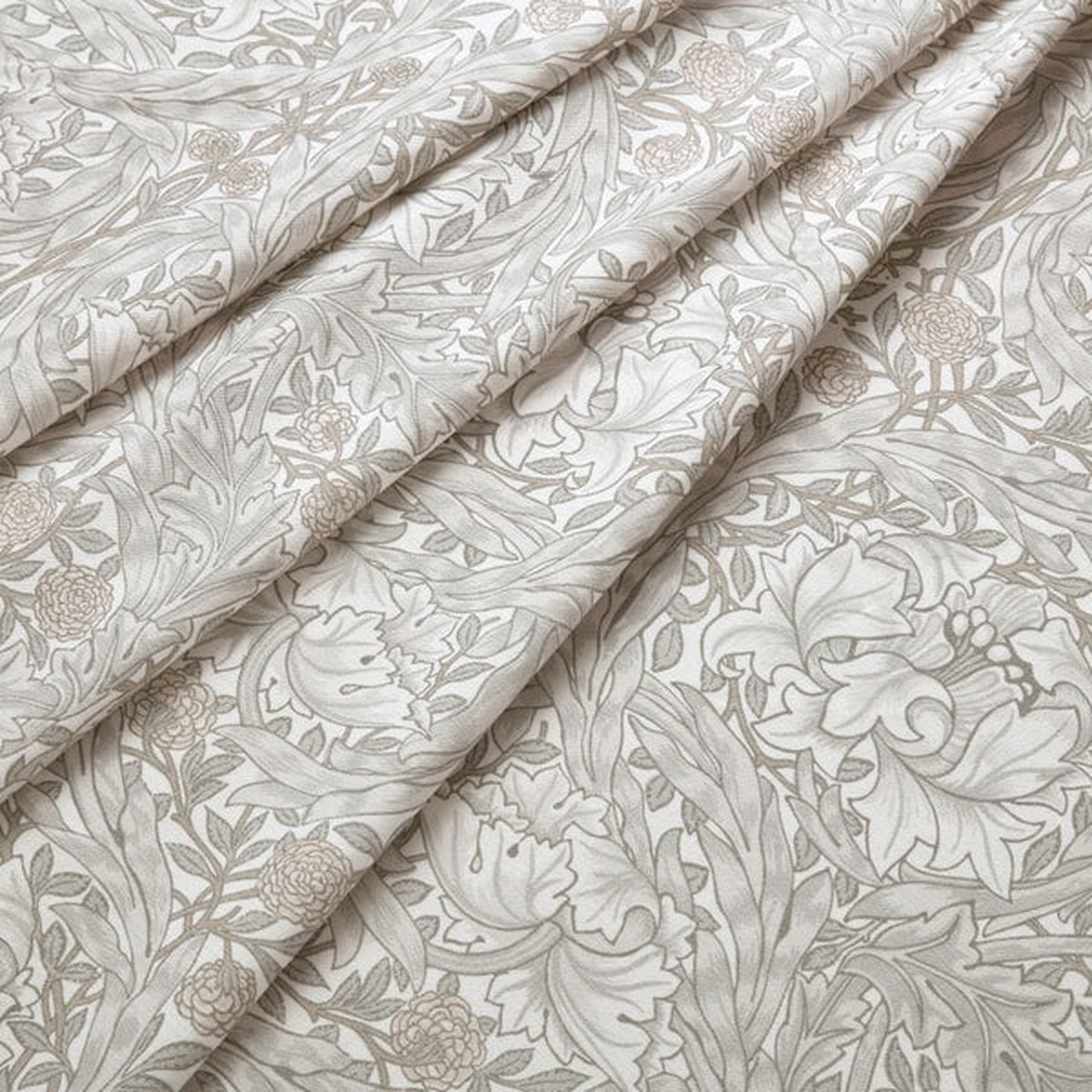 7933 AFRICAN MARIGOLD Stout Multi-Purpose