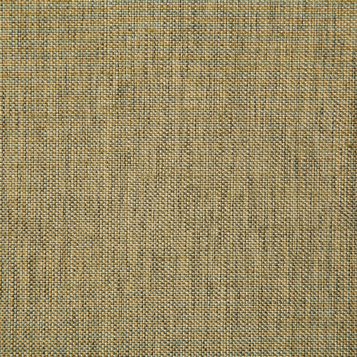 7232 BECK-GILDED - Pindler Fabric