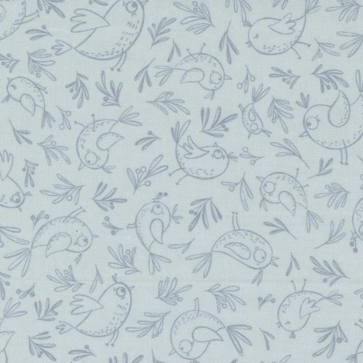 Chirp - Trace A Bird Sky