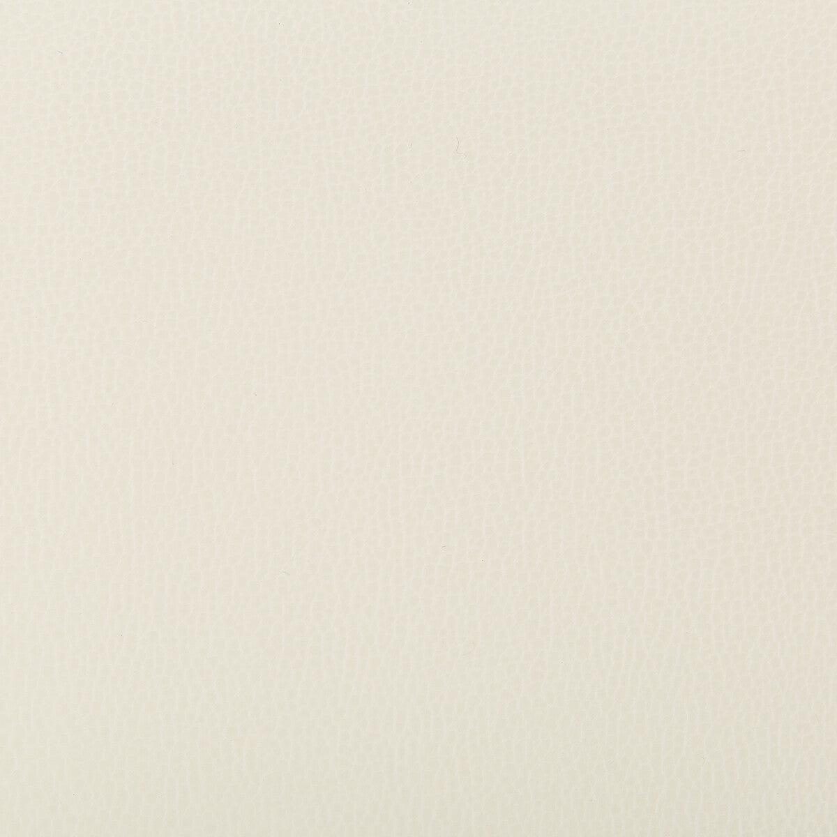KRAVET CONTRACT - LENOX- BLIZZARD - Fabric by the Yard - BLIZZARD