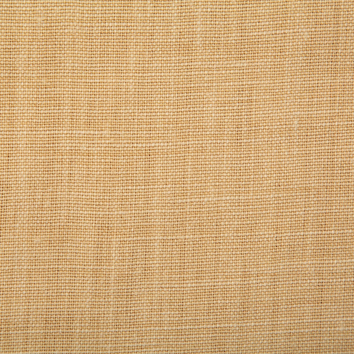 7647 PALOMA-WHEAT - Pindler Fabric