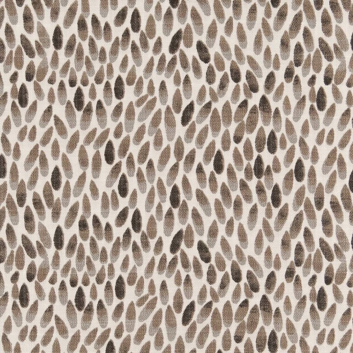 Charlotte - D2506 - Umber - Fabric by the Yard