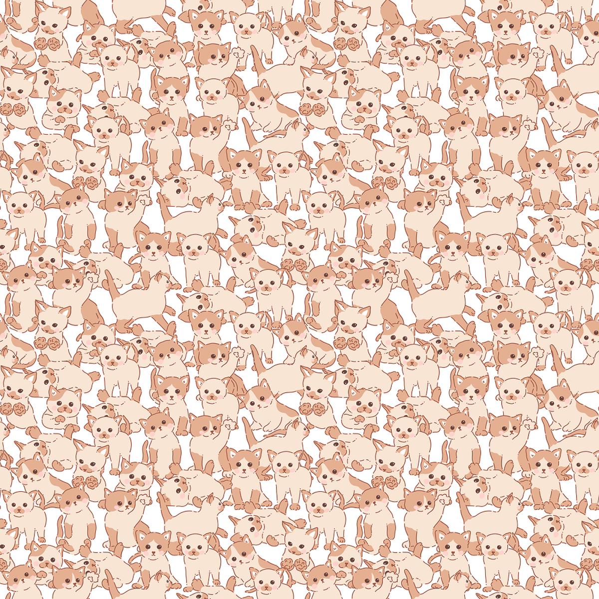 Cute Kittens Floral Pattern 4 Fabric