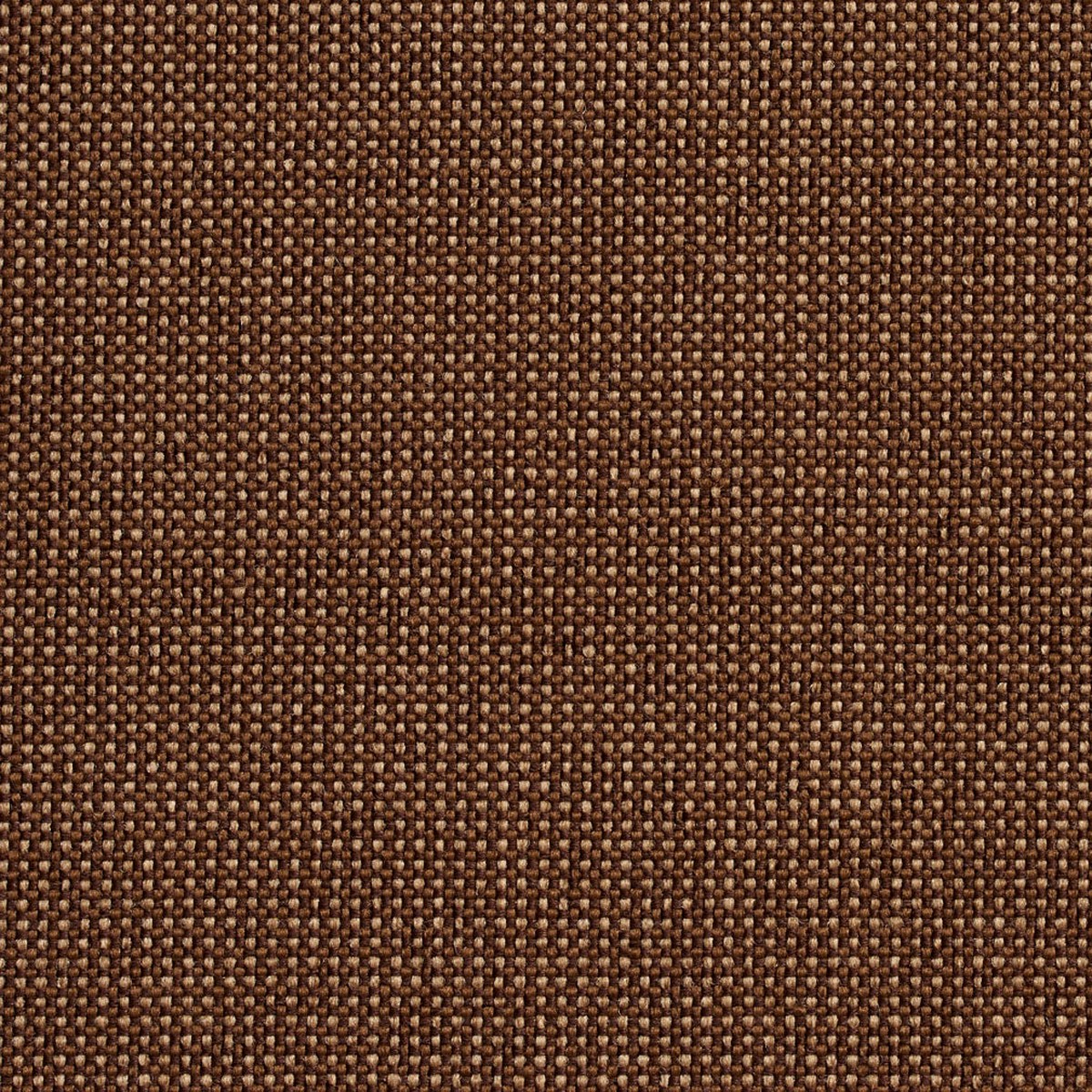 Charlotte - 3710 - Mocha - Fabric by the Yard