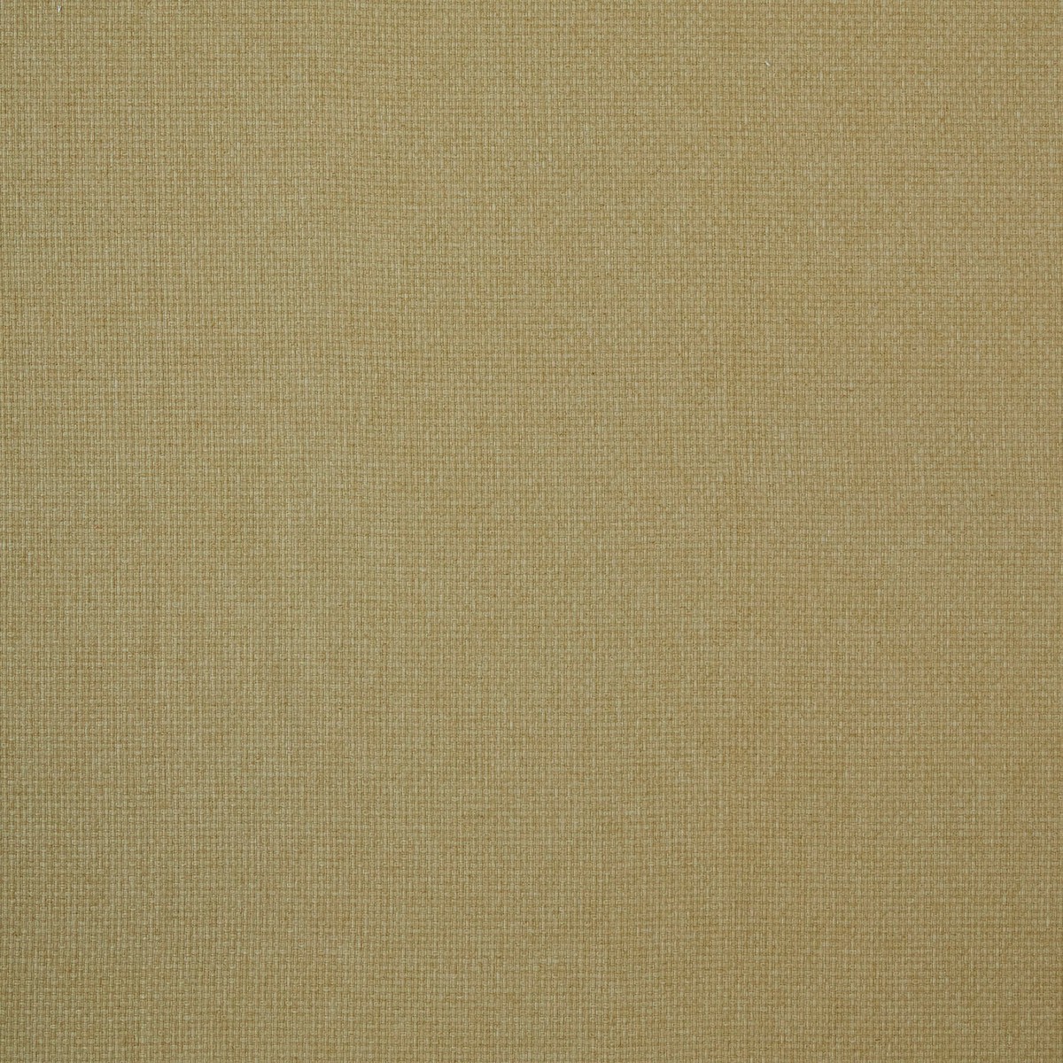 7880 REED 2 BRASS