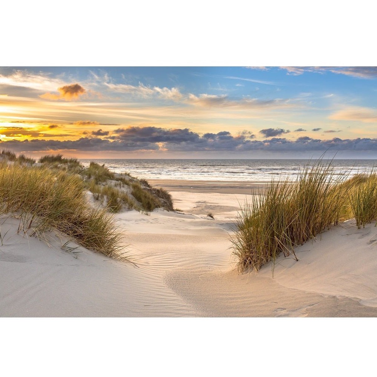 Realistic Beach Dunes Over North Sea Fabric Panel