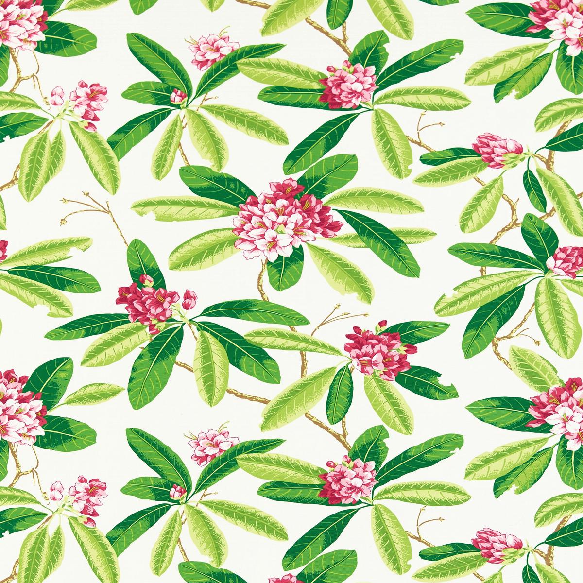 SCALAMANDRE RHODODENDRON - OUTDOOR FABRIC FUSCHIA - SC 000116454M NEW SKU # SC16454M0001