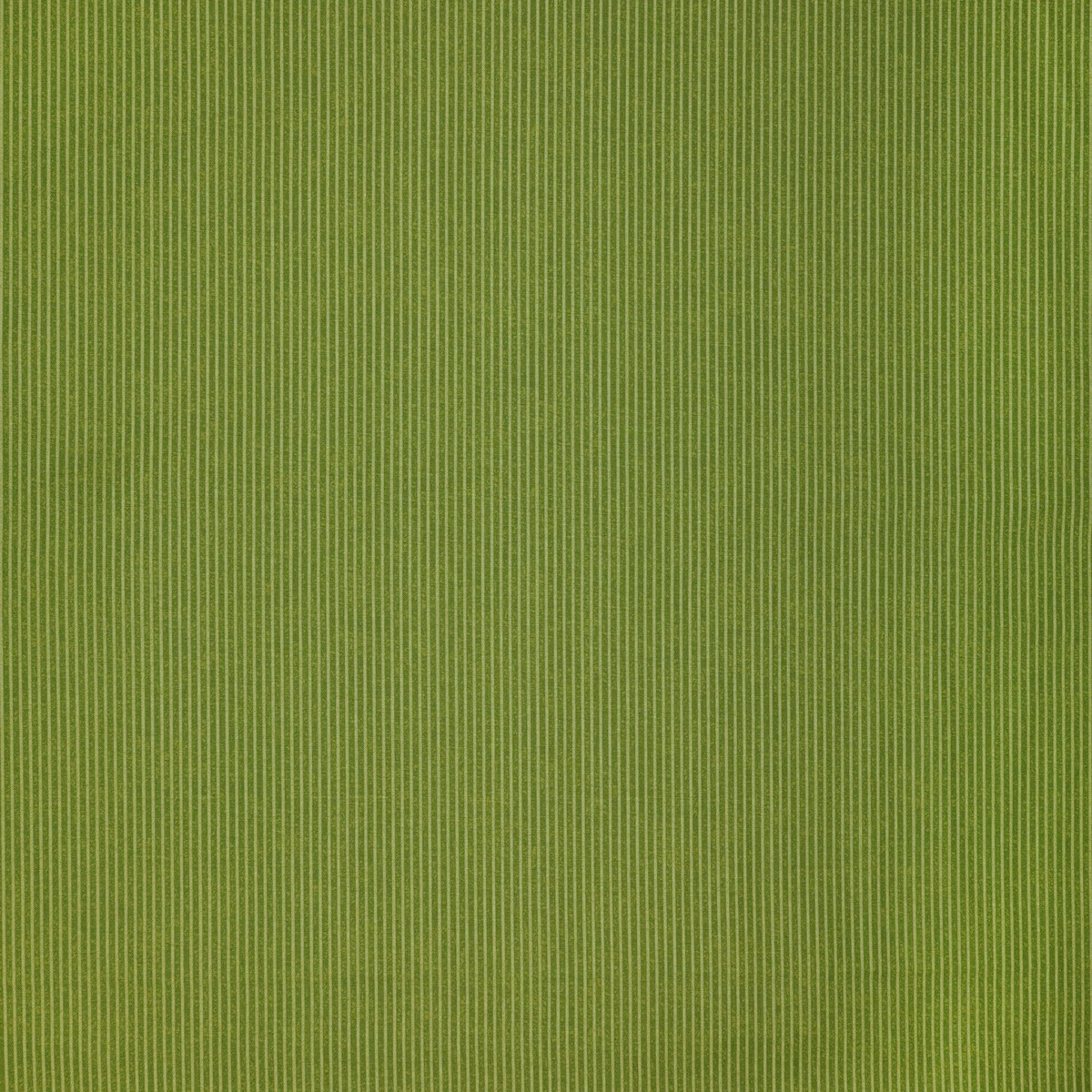 Wander Lane II Fabric Collection - Pathways Pine