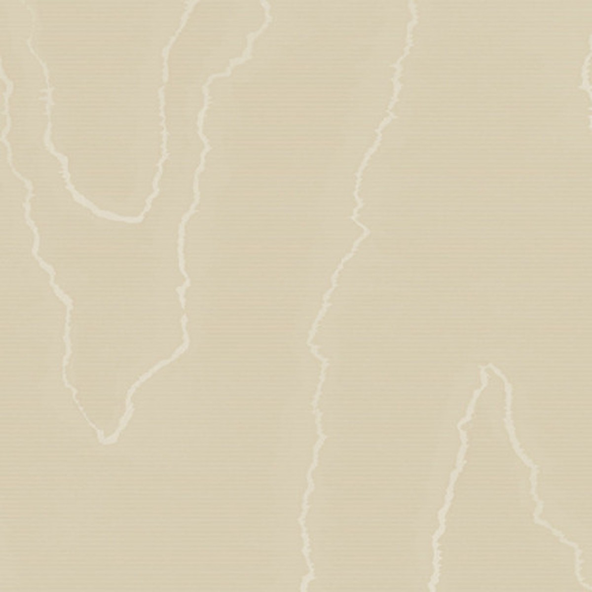 Watered Silk - Fawn By Cole & Son