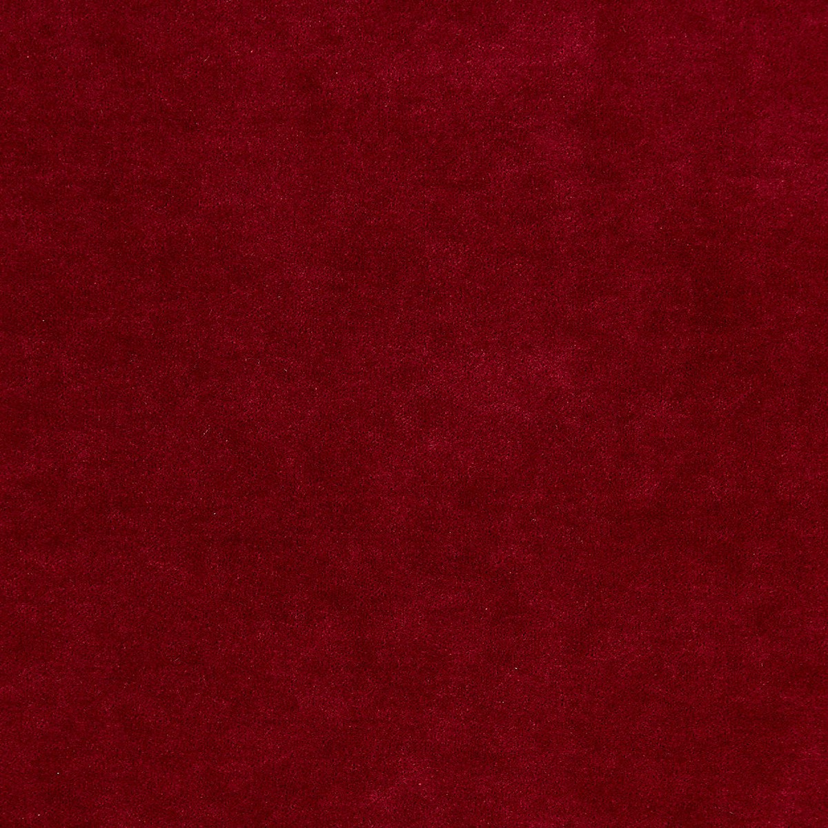 Aurora Velvet - Currant by Scalamandre Fabric
