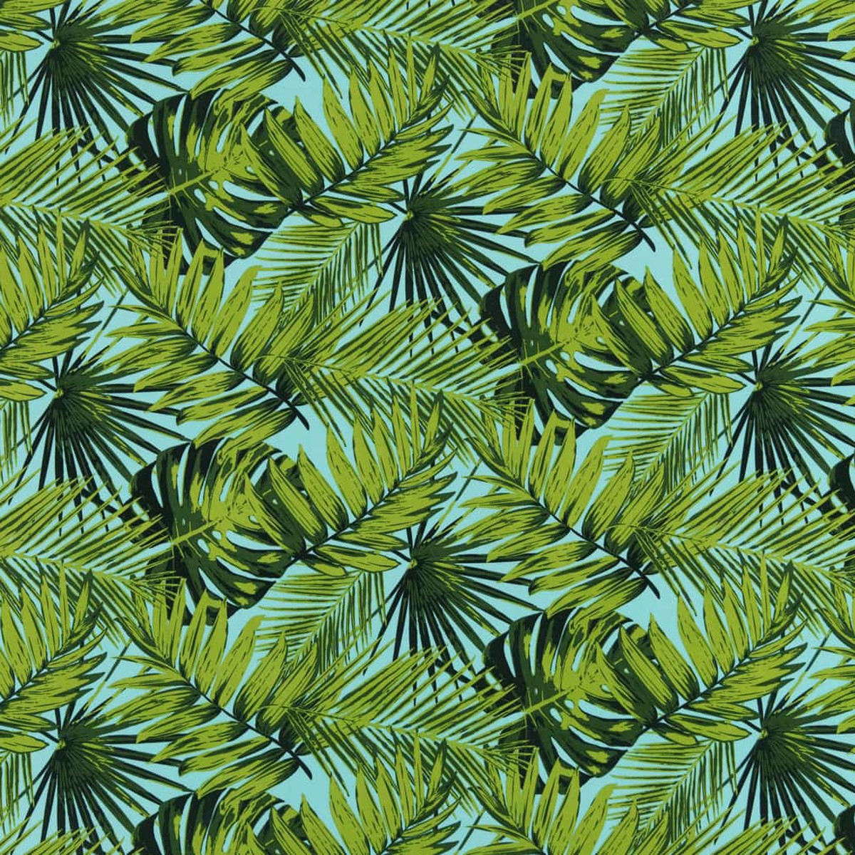 Elora Palm