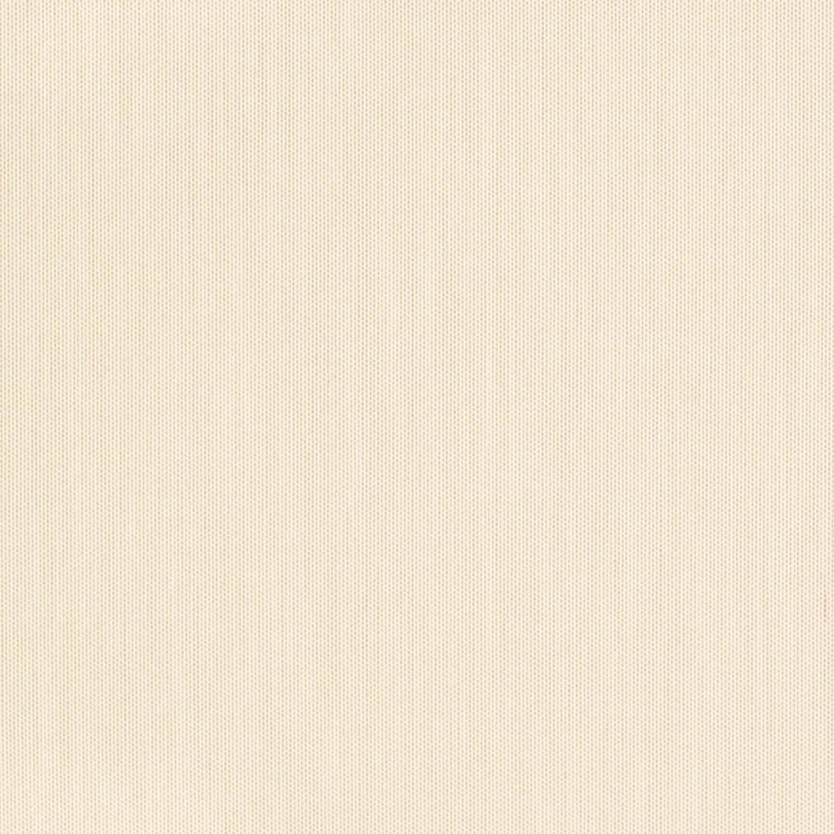Charlotte - D3450 - Seashell - Fabric by the Yard