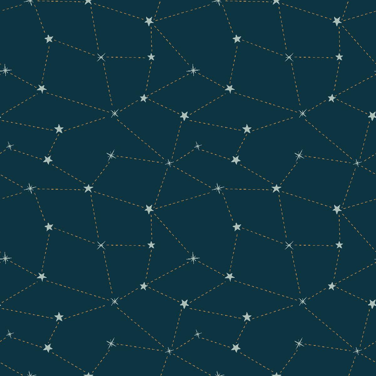 Savanna | Carys Mula | Starry Night - Under the Stars