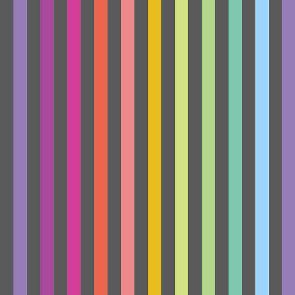 FreeSpirit Fabrics - True Colors by Tula Pink - Disco Stripe - Carbon - Yardage