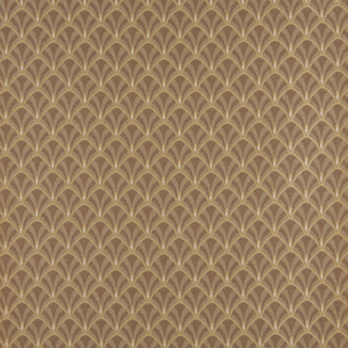 4307 Abstract & Geometric Harvest Fan Brown Charlotte Fabrics
