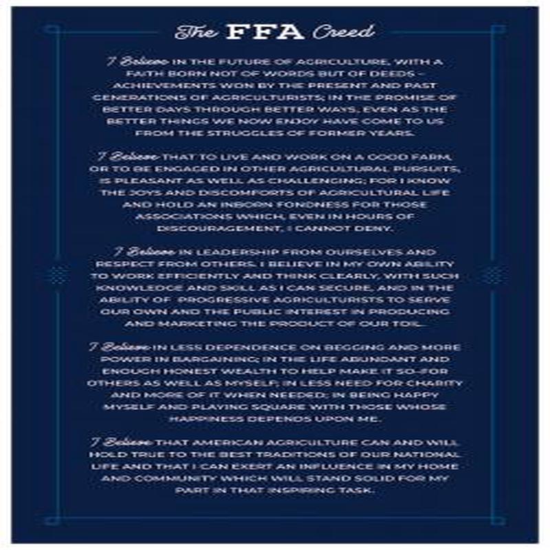 FFA Forever Blue 2 FFA Creed Panel 24in x 43in P15855-PANEL