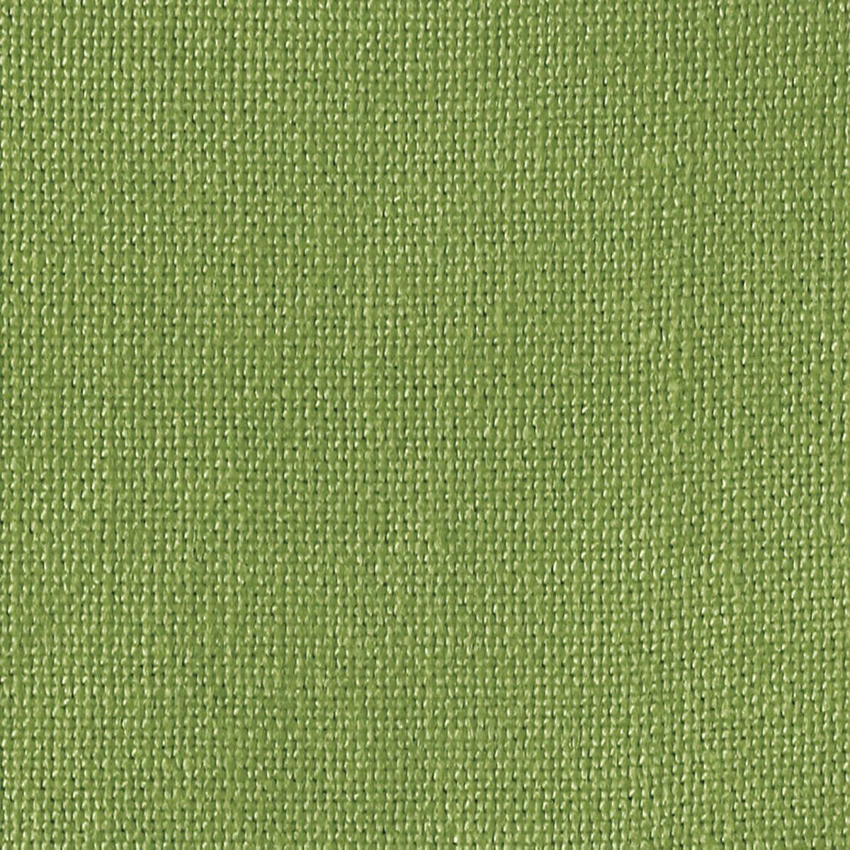 Casalino - Grass by Scalamandre Fabric
