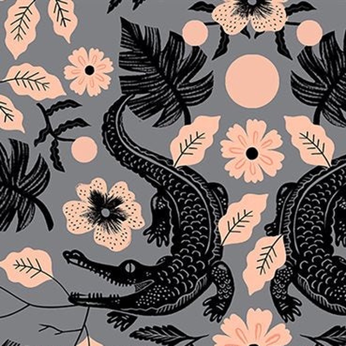 Florida 2 by Sarah Watts - Gator in Cloud