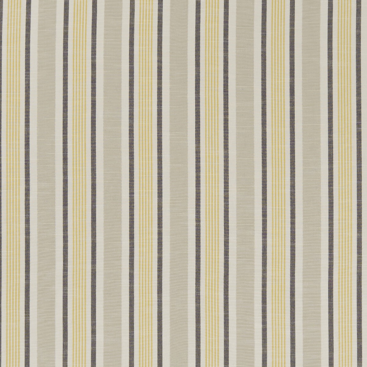 CLARKE AND CLARKE - MAPPLETON- OCHRE - Fabric by the Yard
