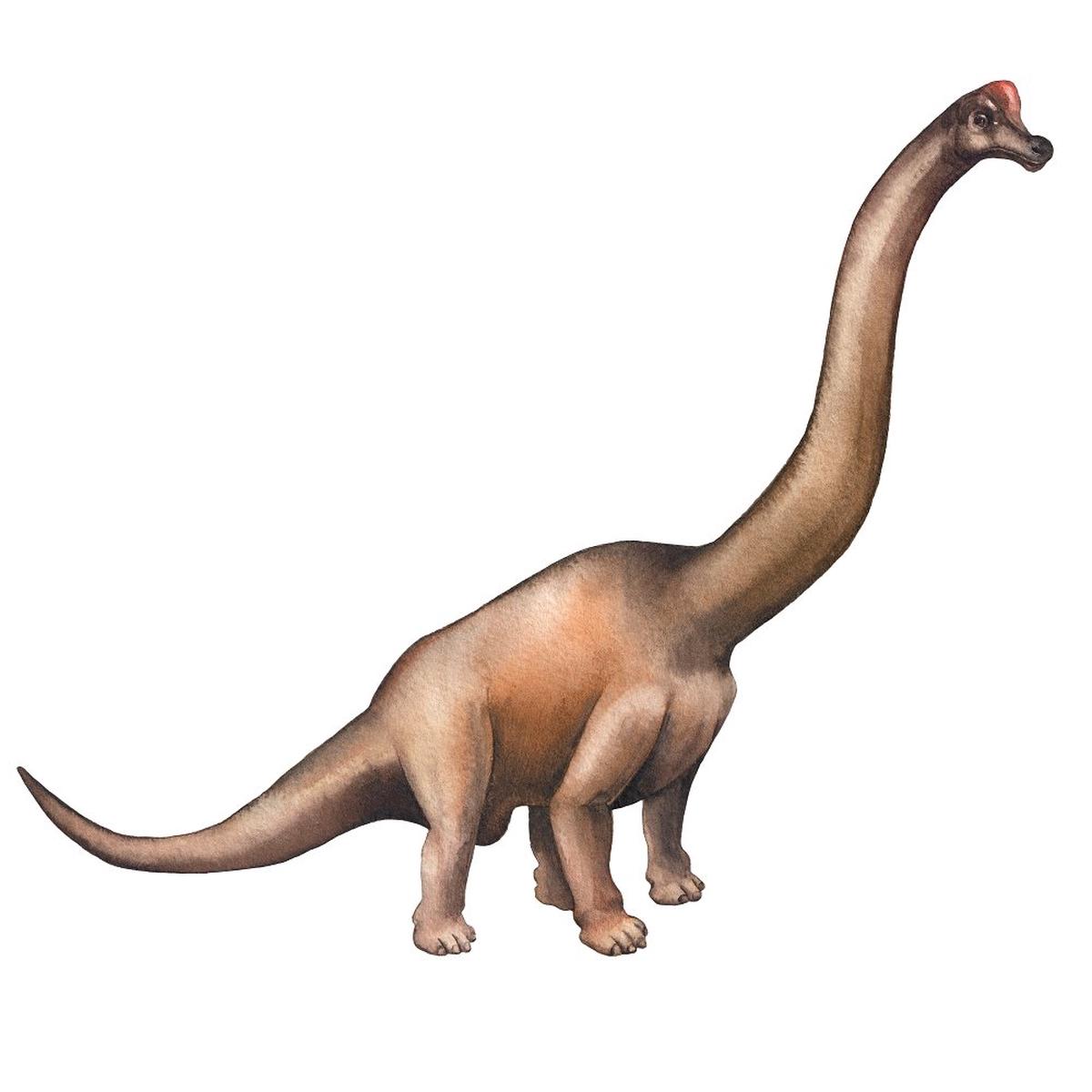 Watercolor Dinosaur Brachiosaurus Style 2 Fabric Panel