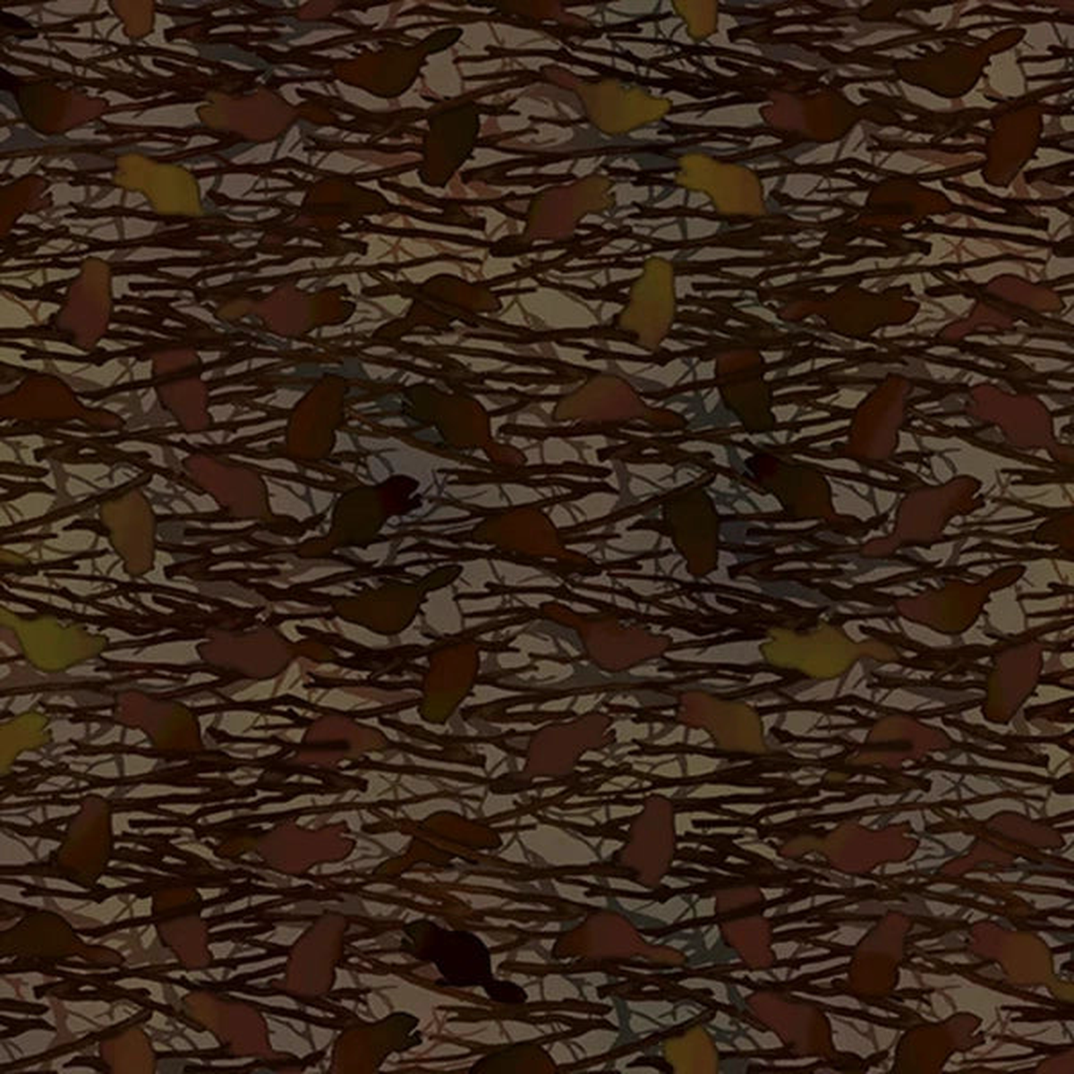 In the Beginning - 265OR 1 Brown