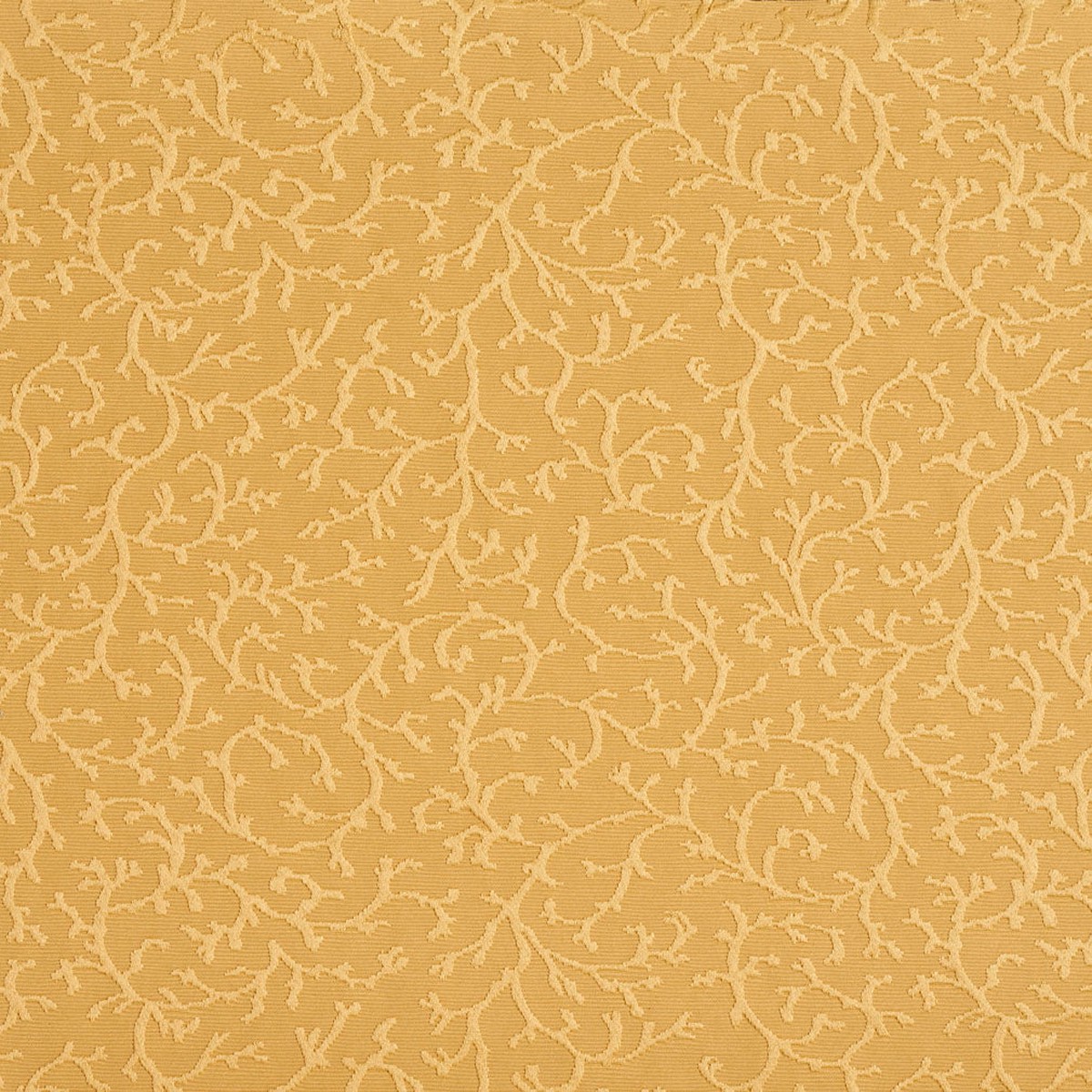 20630-09 Abstract & Geometric nan Gold & Yellow Charlotte Select