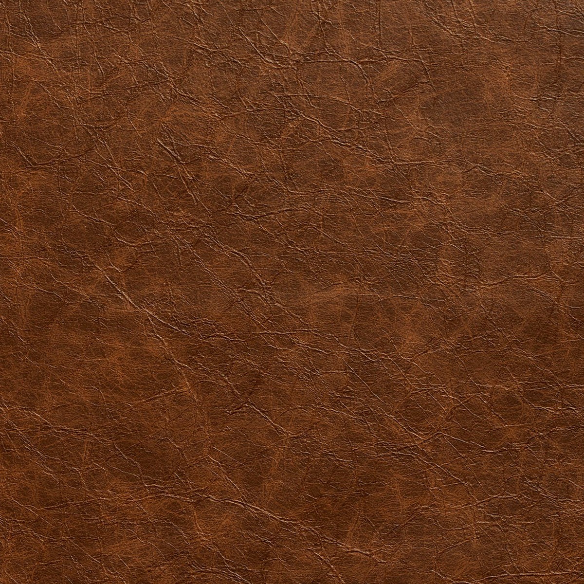 Charlotte - 8287 - Sandalwood - Fabric by the Yard