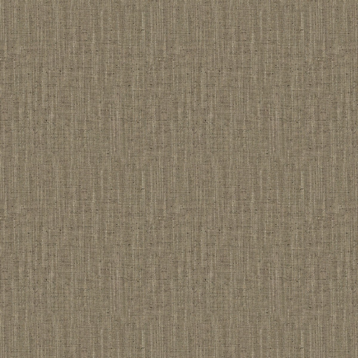 Farafra (Fc) - Walnut