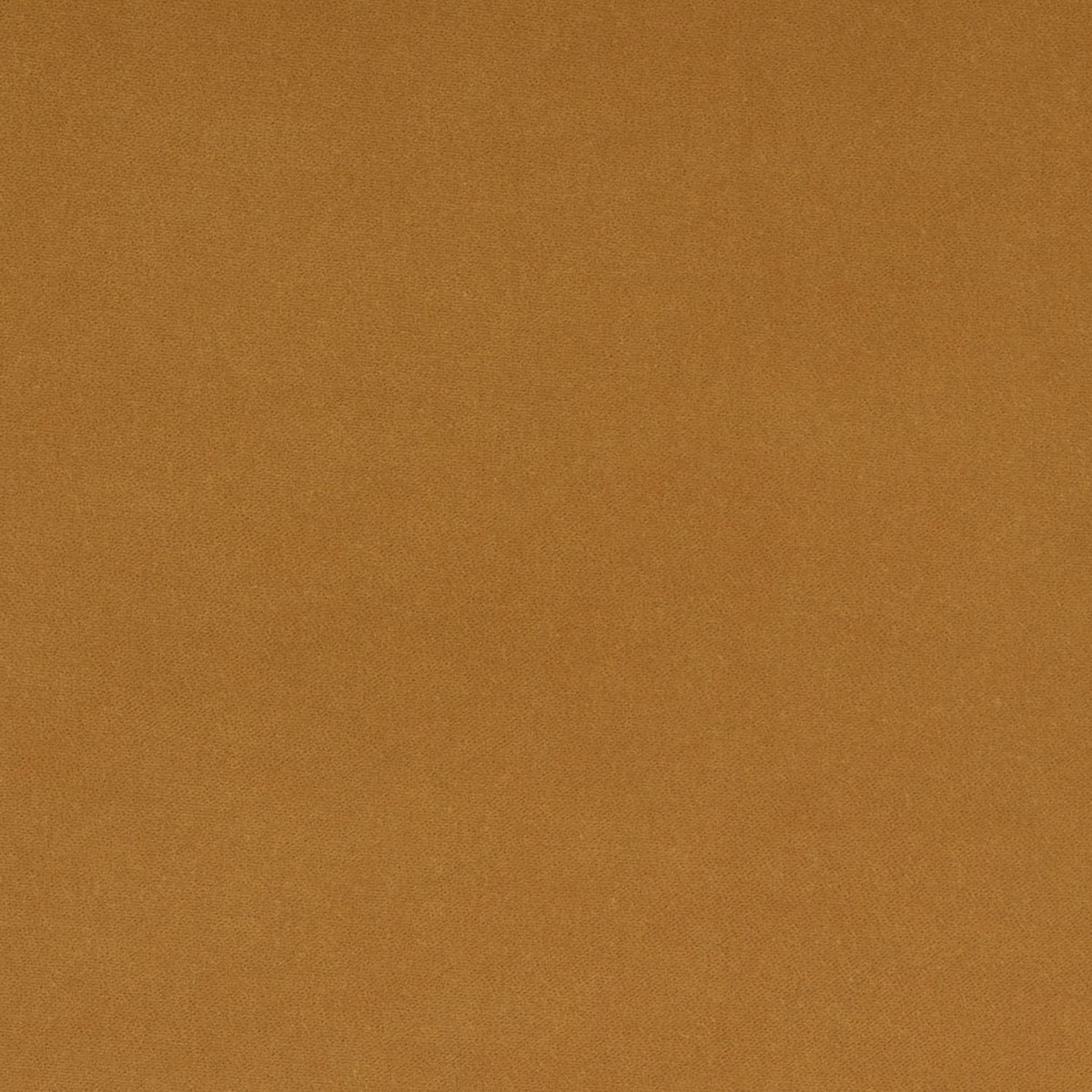 Baylor Ochre
