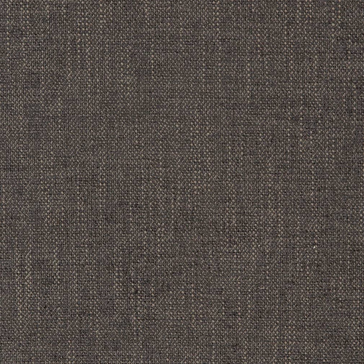 D2309 Plain & Solid Graphite Grey & Silver Charlotte Fabrics