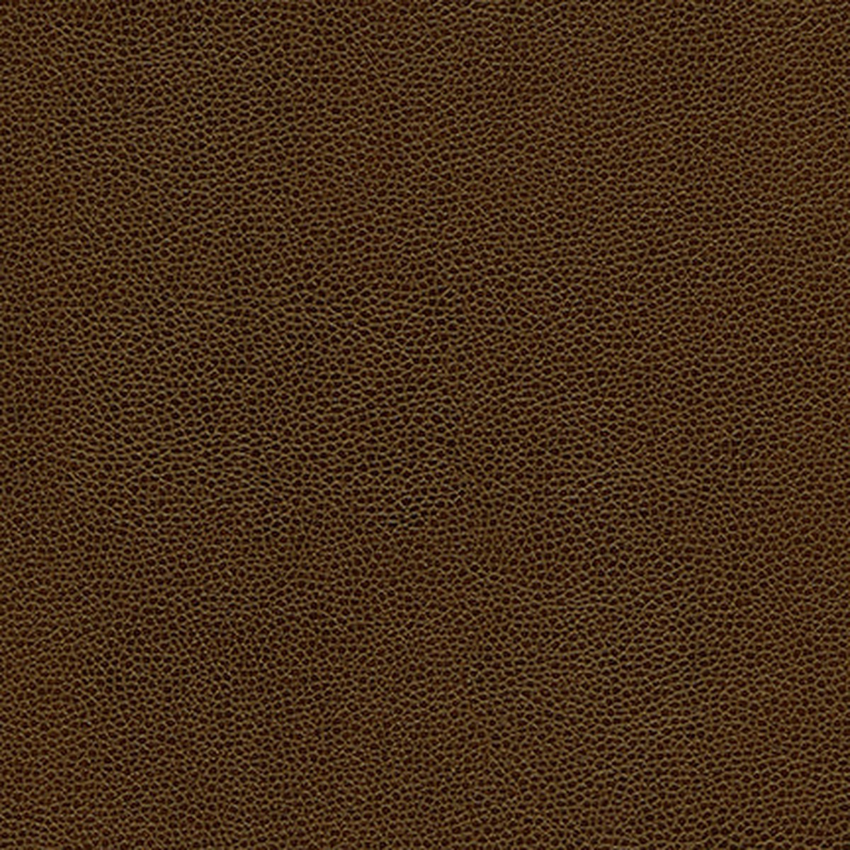 RP5772 Maxwell FABRIC # 772 HUSK MO-COATEDFABRICS