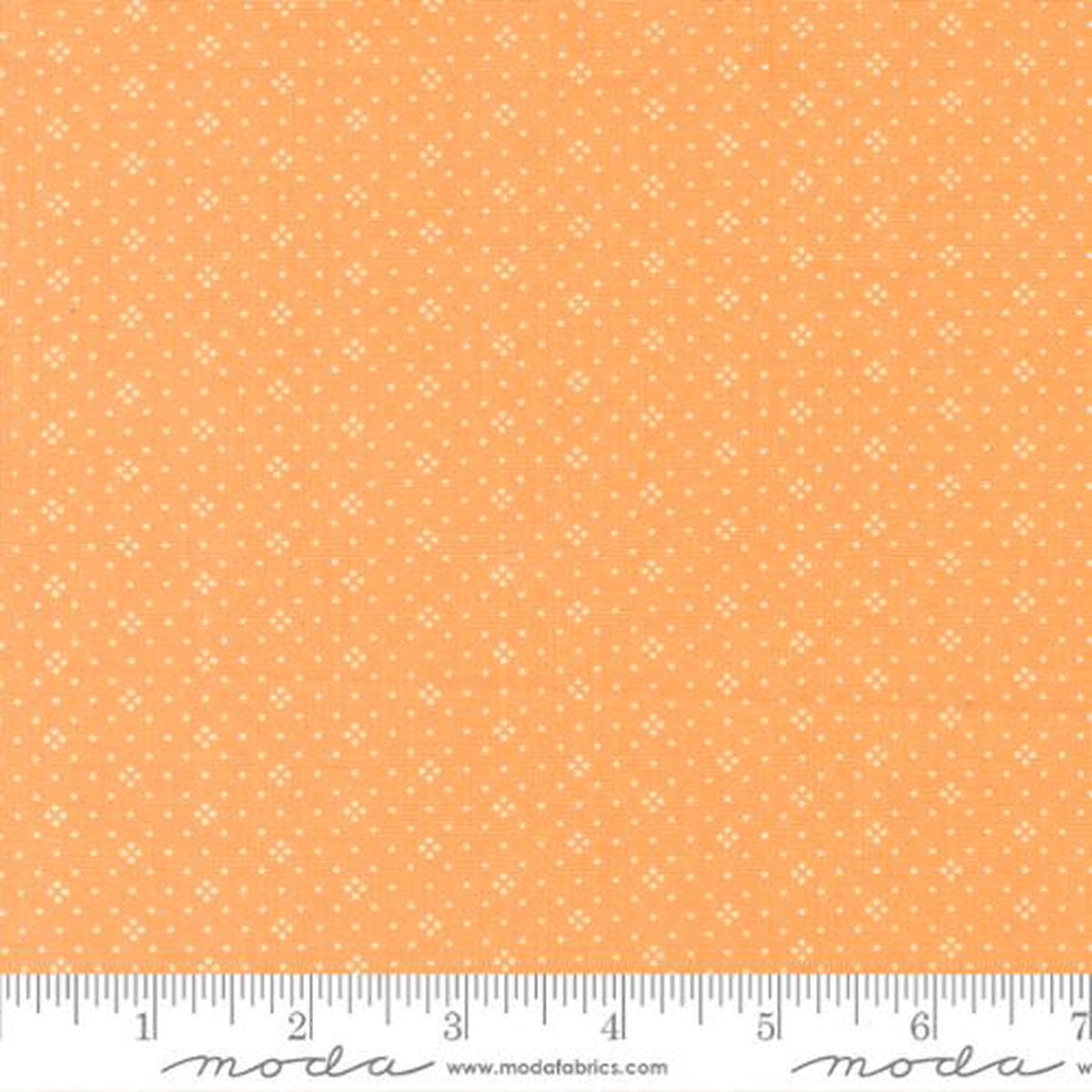 Eyelet - Eyelet Orange