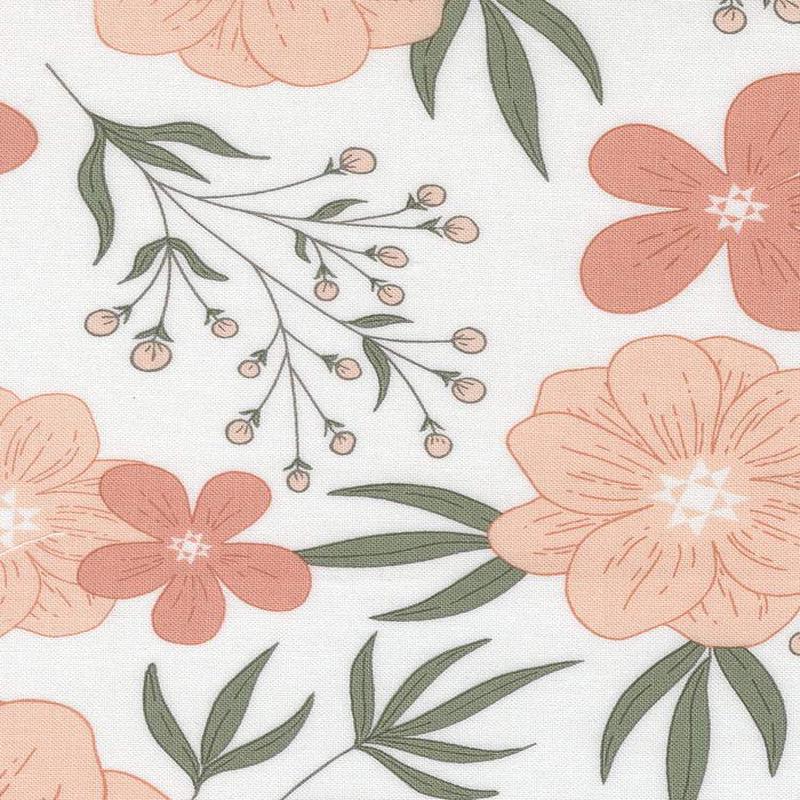 Potted Star Bloom By Kiley's Quilt Room For Moda Cream