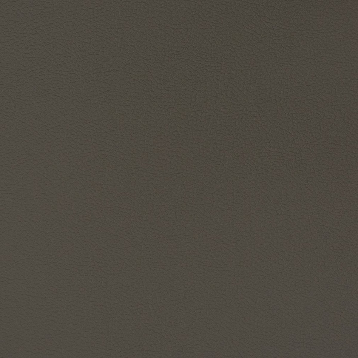 Charlotte - V339 - Flint - Fabric by the Yard
