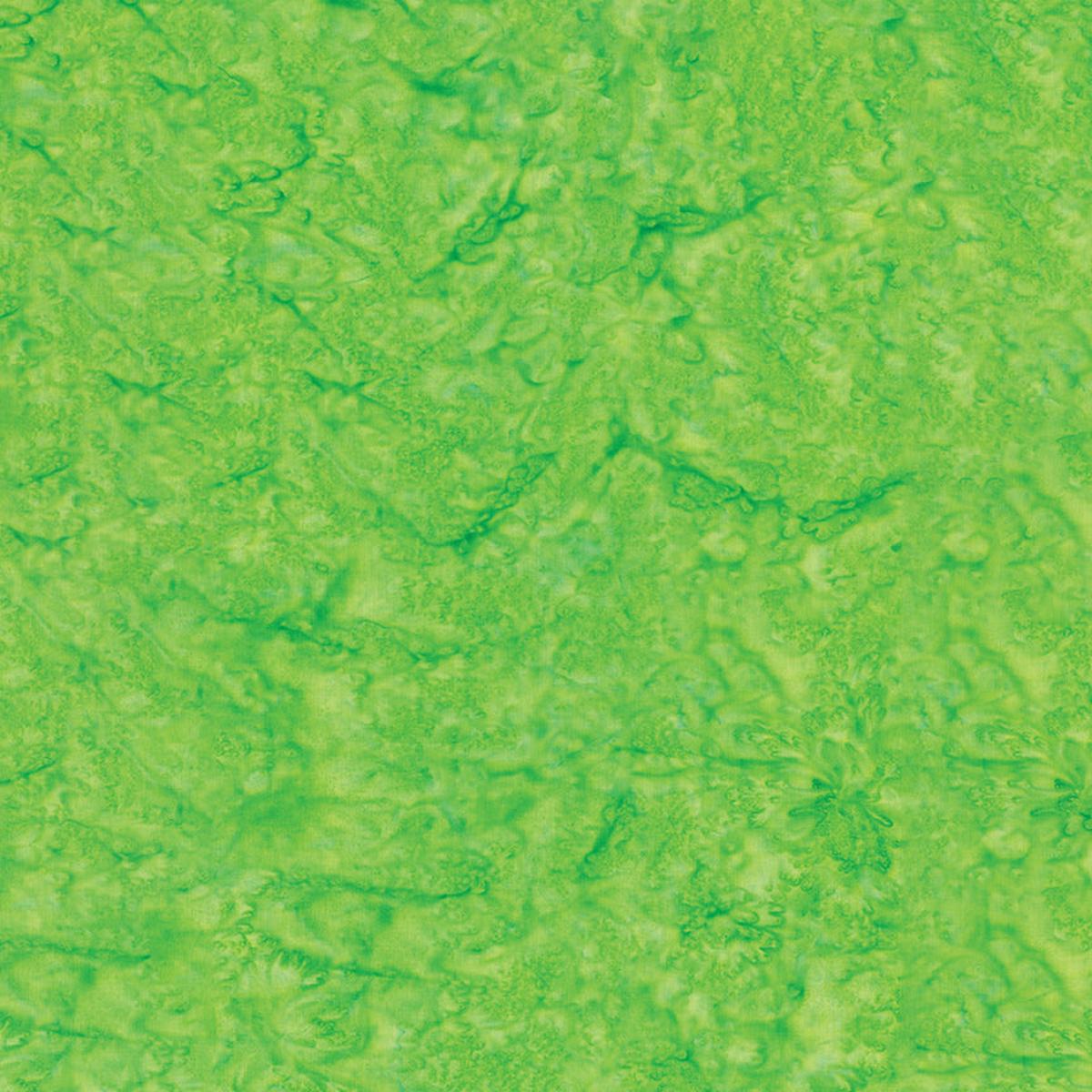 Expressions Hand-Dyes Batik Quilt Fabric - Leprechaun - BT21000-316