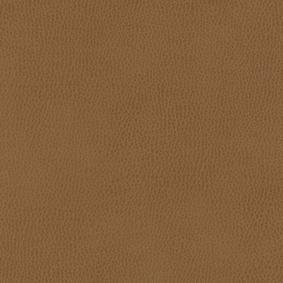 TV0856 Maxwell FABRIC # 856 PASO MO-COATEDFABRICS