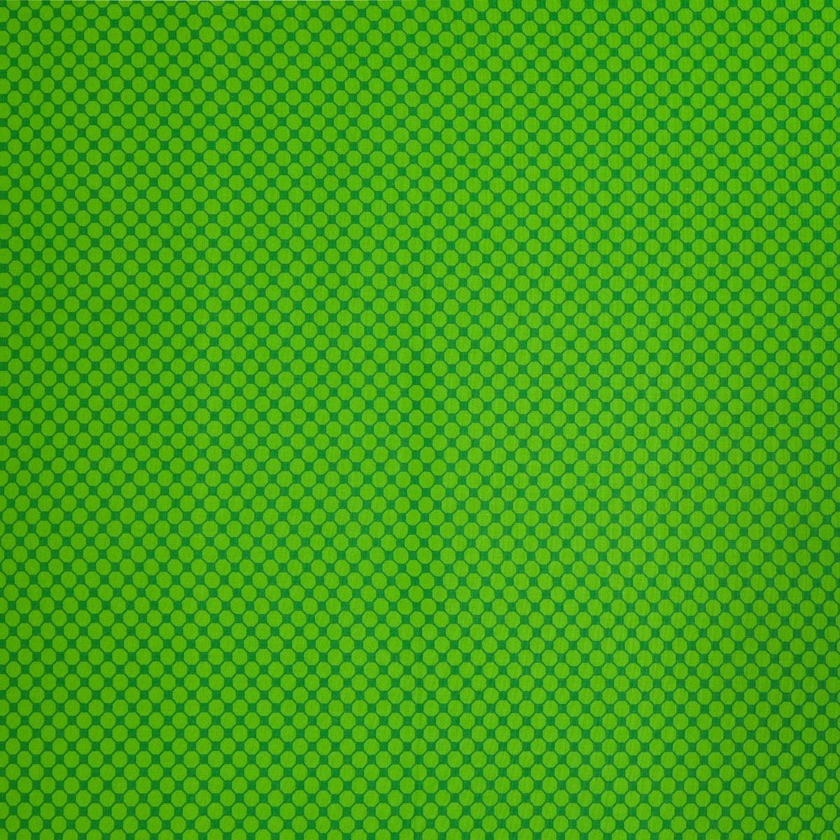 Lucky Bugs Fabric Collection - Octadot Green