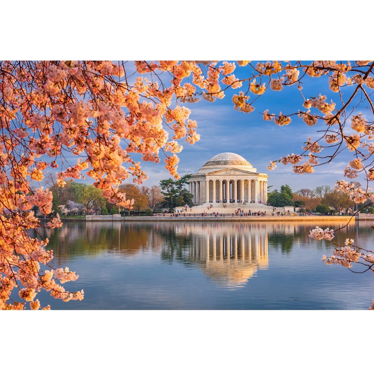 Realistic Tidal Basin Jefferson Memorial Fabric Panel