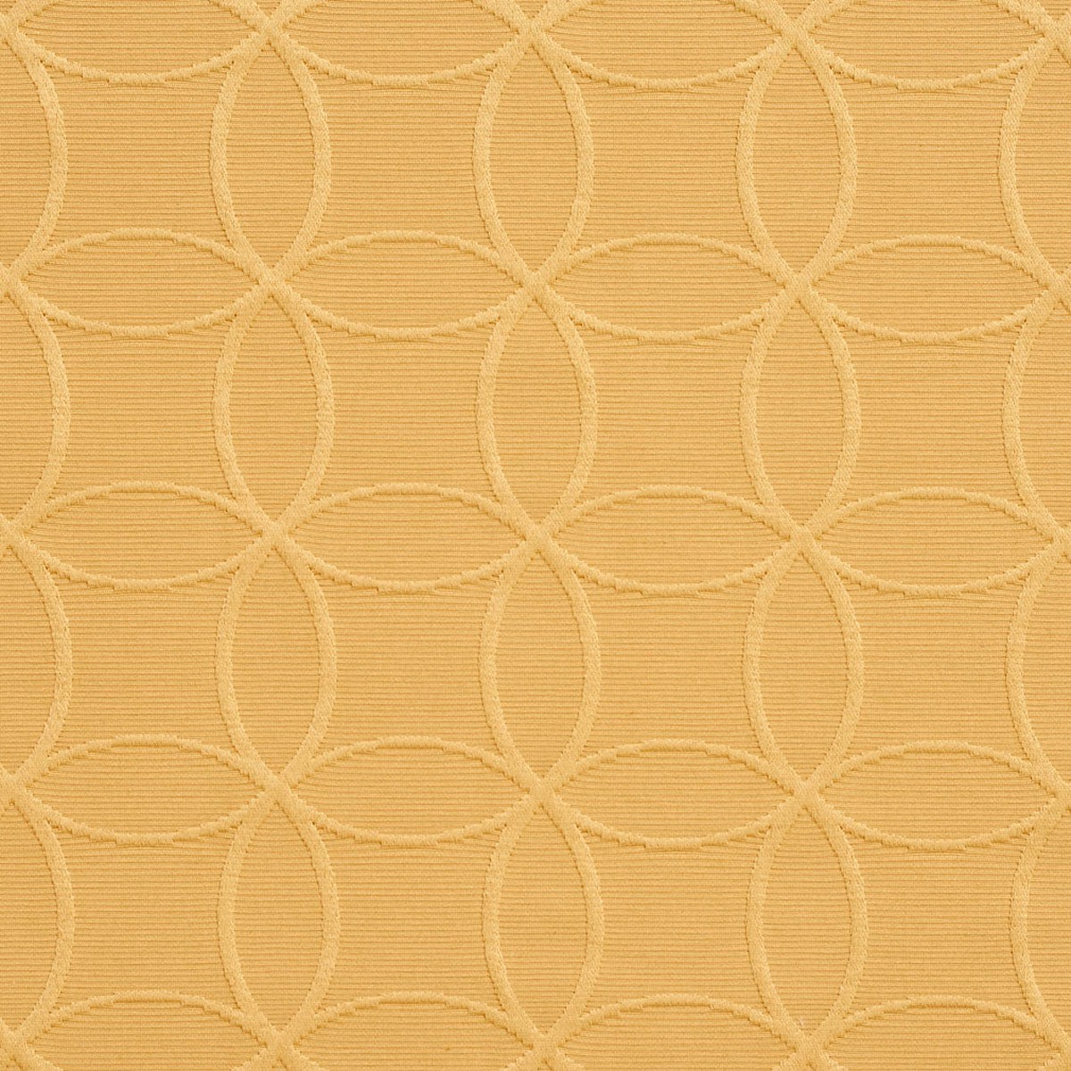 20610-09 Abstract & Geometric nan Gold & Yellow Charlotte Select