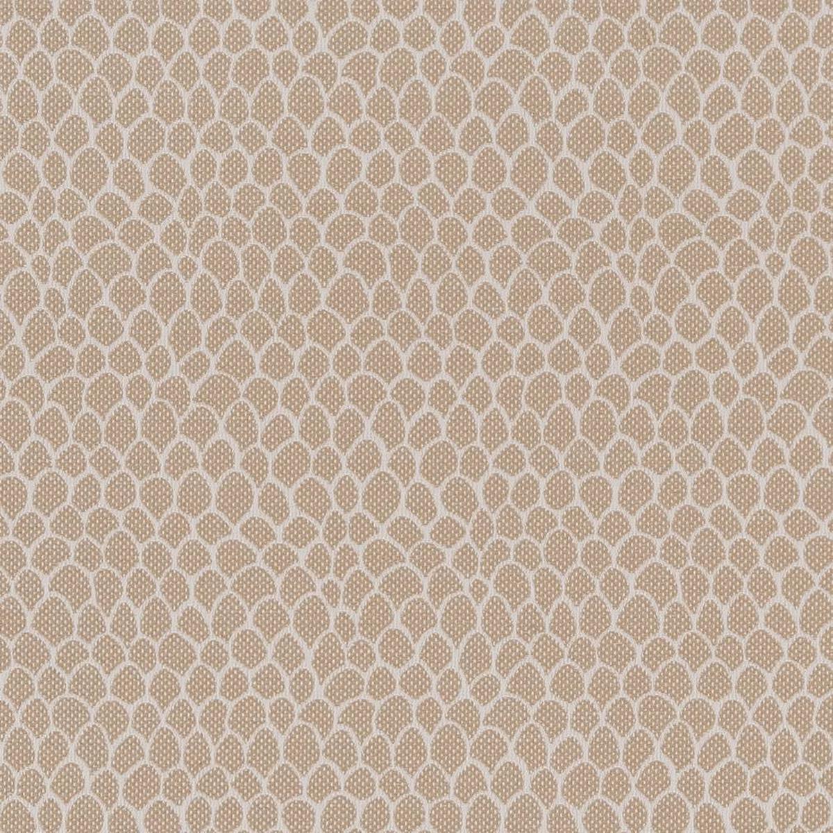 Charlotte - CB700-400 - Fabric by the Yard - CB700-400