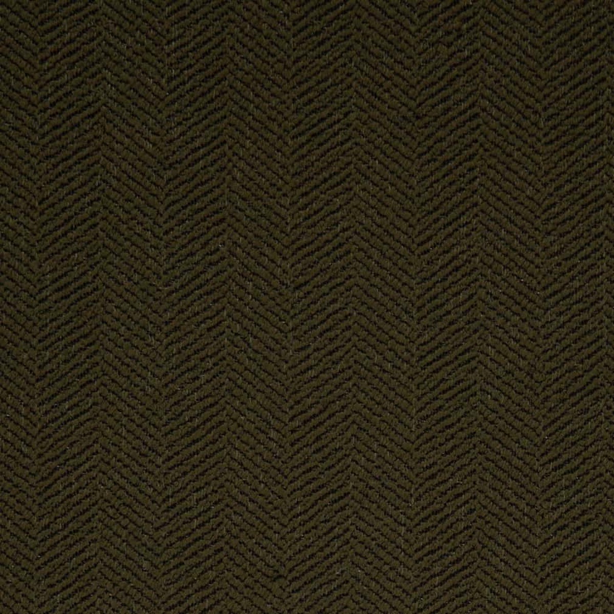D2888 Herringbone & Chevron,Plain & Solid Olive Green Charlotte Fabrics