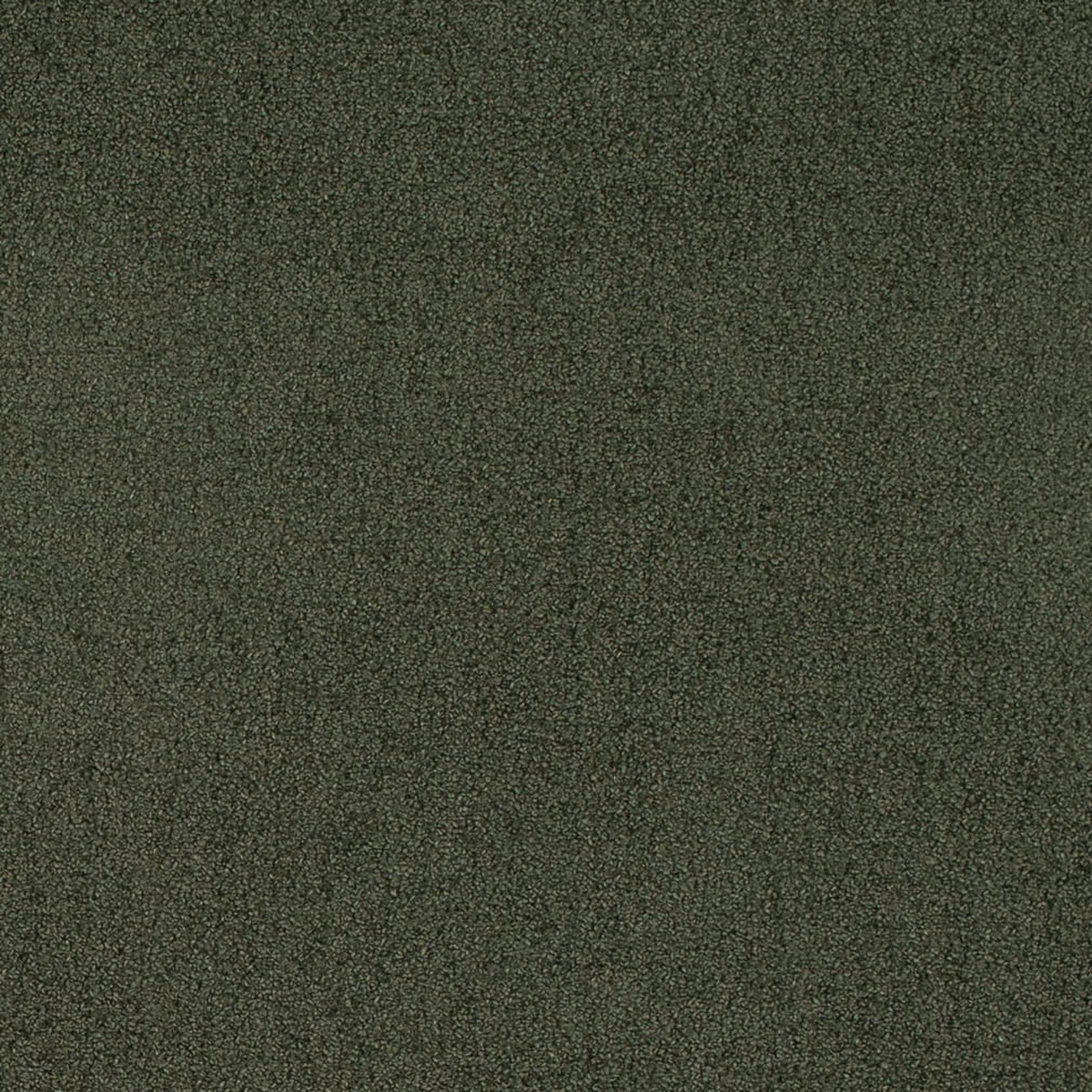 D4665 Plain & Solid Eucalyptus Green Charlotte Fabrics