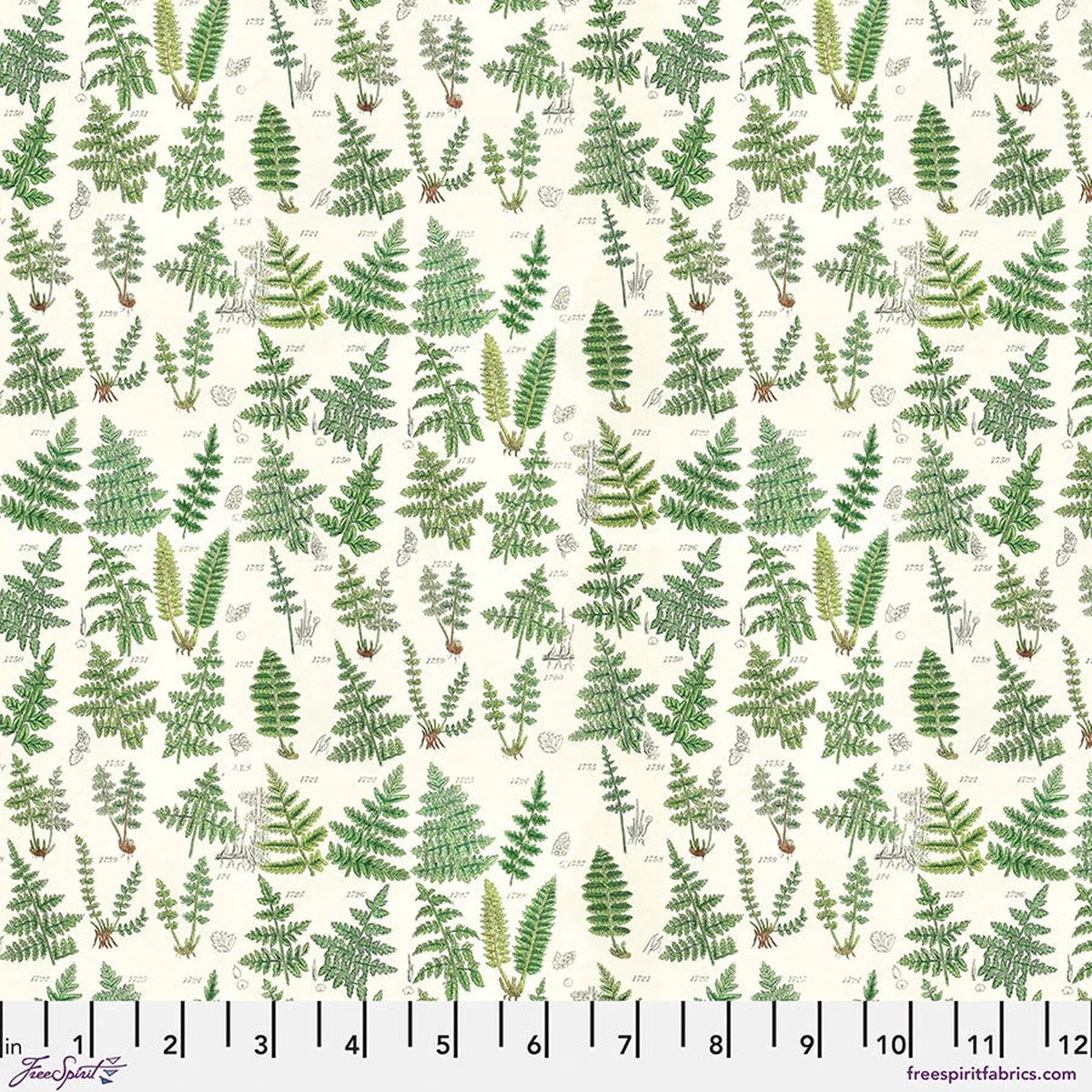 Tim Holtz Palette Curated - Ferns in Green
