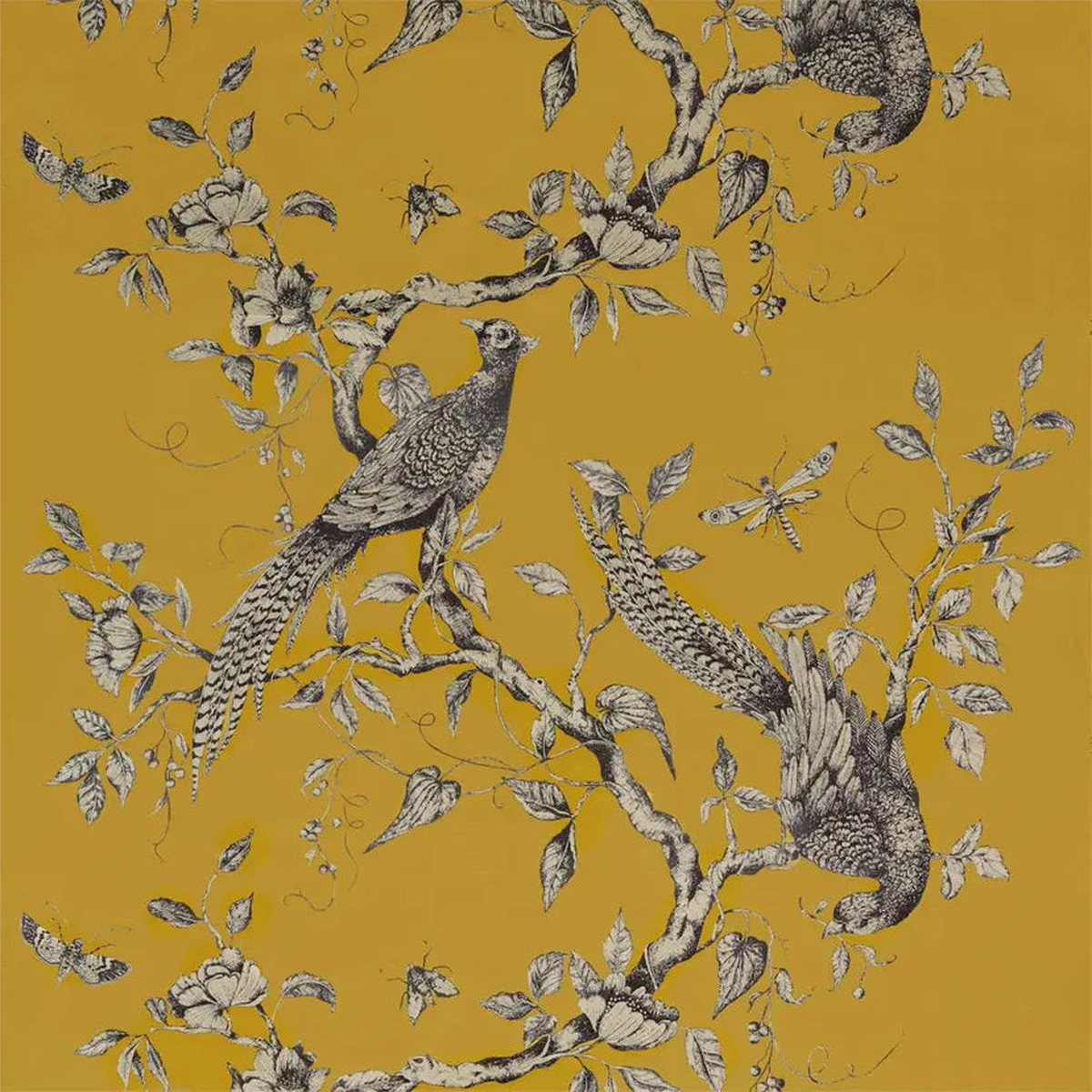 Darnley Toile Velvet - Velvet Tigers Eye | Quantity (Metres)