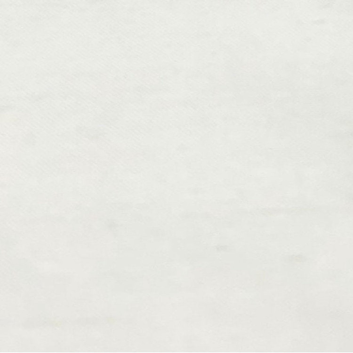 Dupioni Solids - Ivory by Scalamandre Fabric