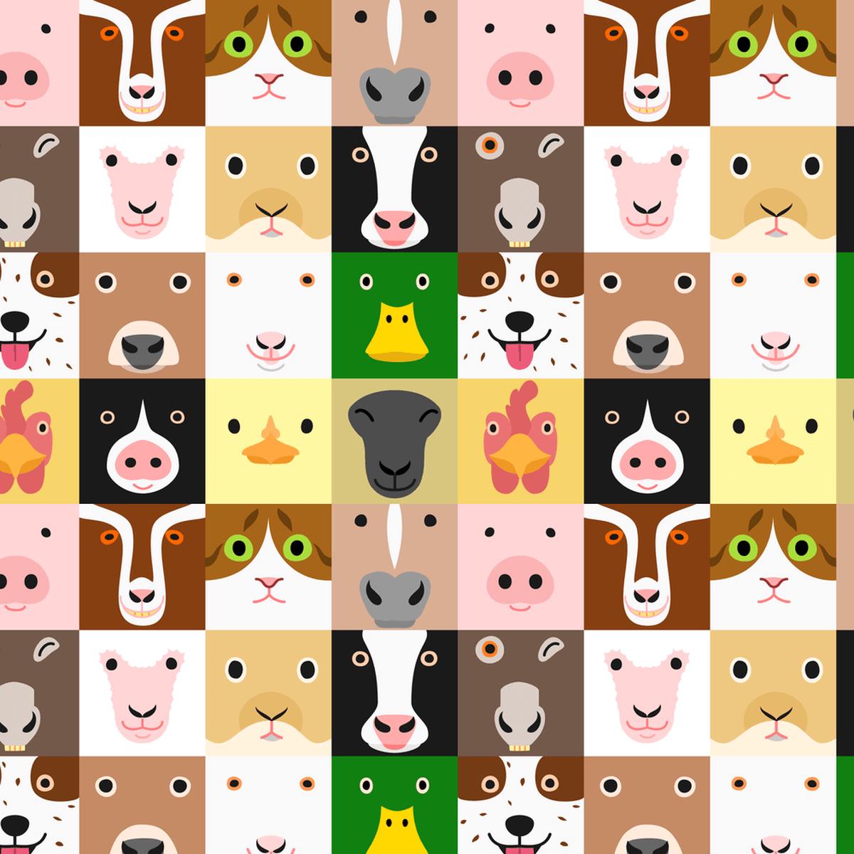 Funny Farm Animal Faces Fabric - Multi