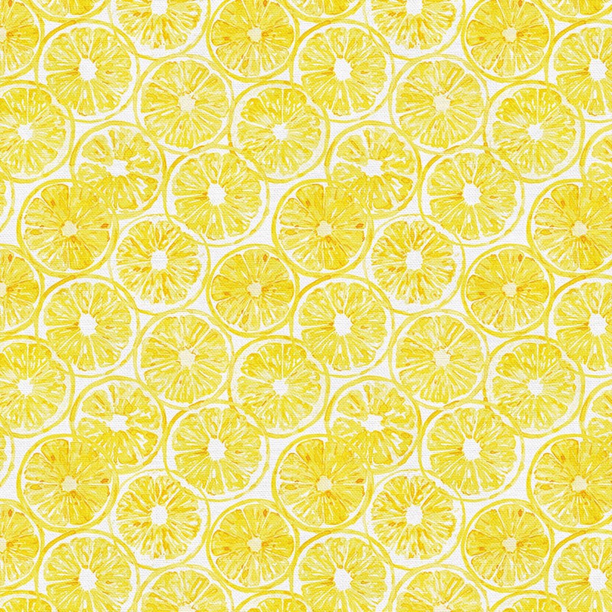 Lemon Slice